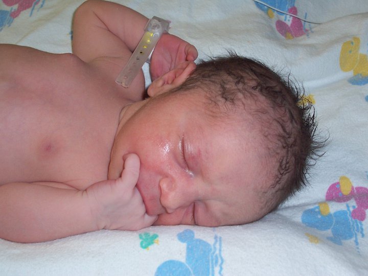 Anne Kronen's album, Riley Elizabeth