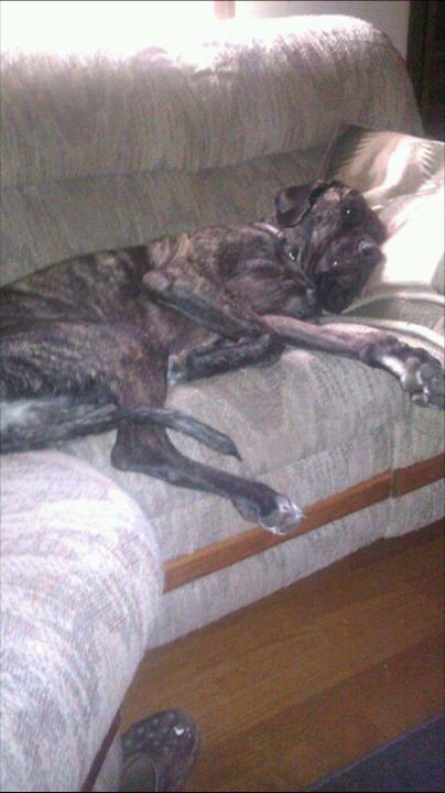 Fank Digilio's album, August 23, 2011