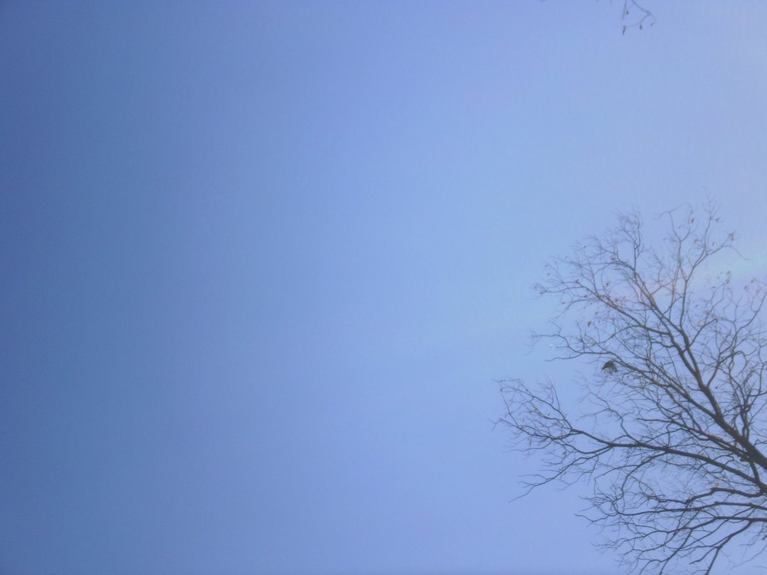Laura Vickers' album, Potter Fall 2010