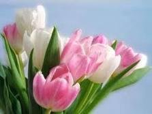 Berneta Brimmer's album, Have A Beautiful Day ... Photos