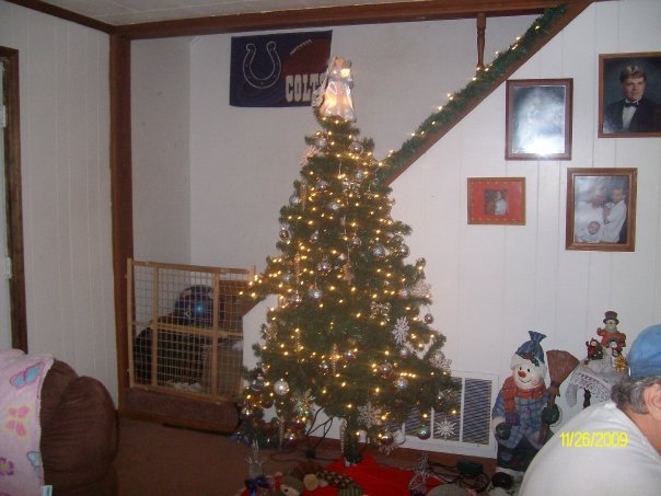 Cindy Alieni's album, grand kids making christmas cookies and some other stuff