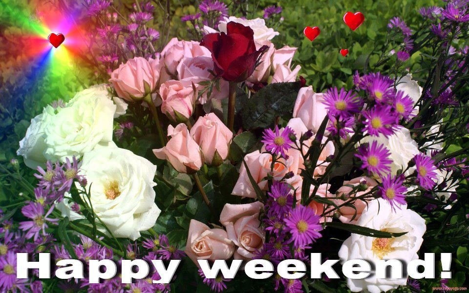Joan Mierzwa's album, Timeline Photos