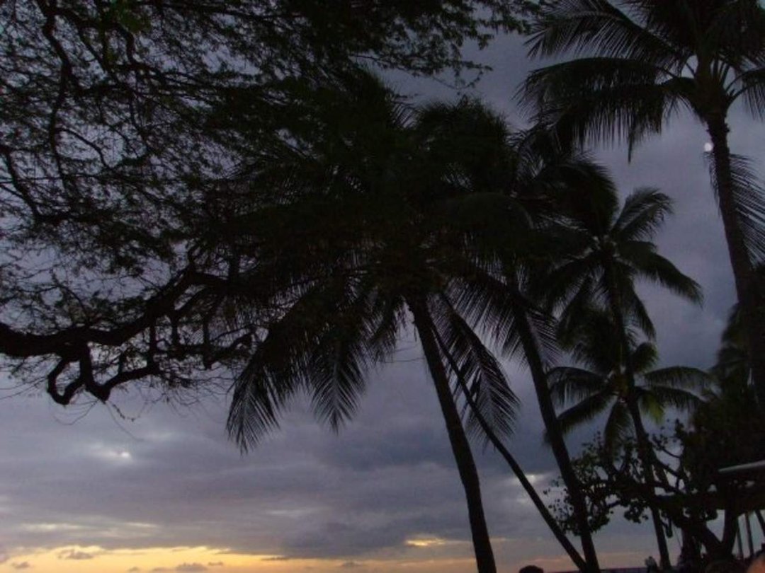 Barbara Kent's album, Aloha