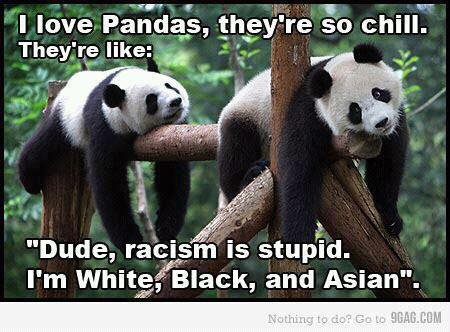 Nicholas Vezzi's album, Timeline Photos