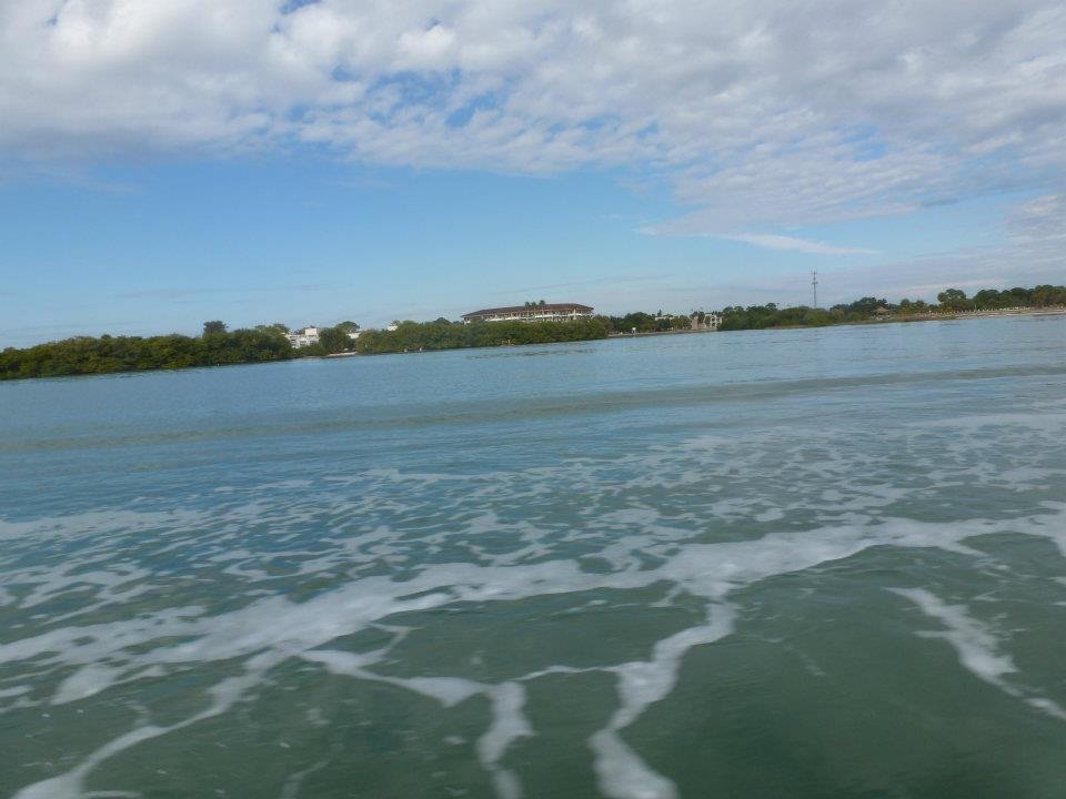 Darryl Mann's album, Speed Boating