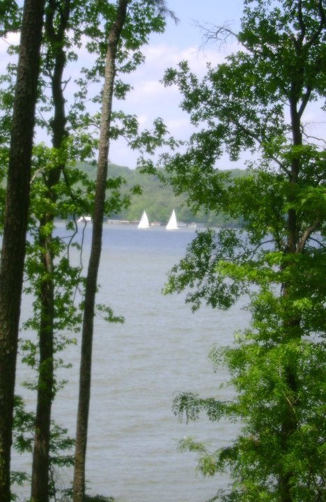 April Stidham's album, Lake Guntersville-April 2011