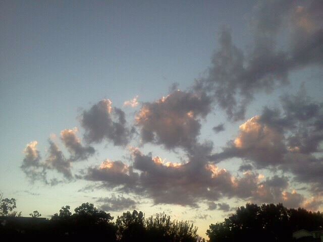 Michael Miller's album, Mobile Uploads