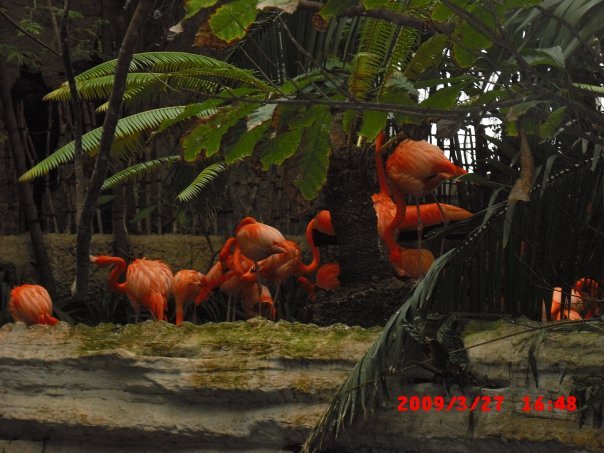 Terry Waters' album, Dallas World Aquarium