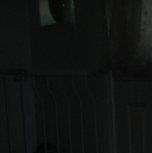 Steven Johnson's album, Profile Pictures