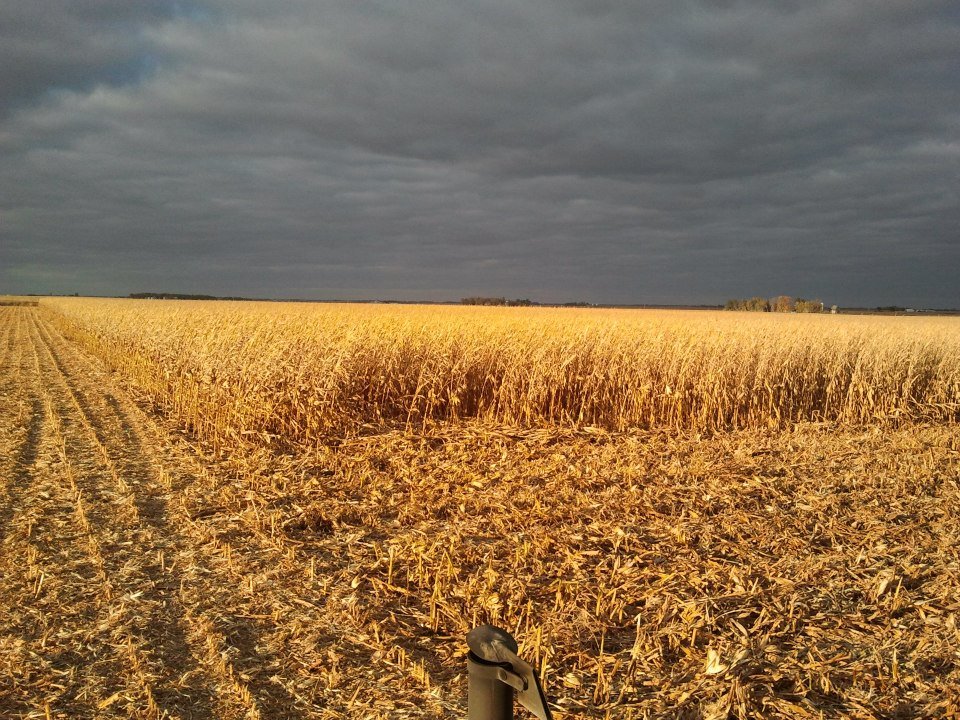 Christopher Simonson's album, Iowa Harvest 2012