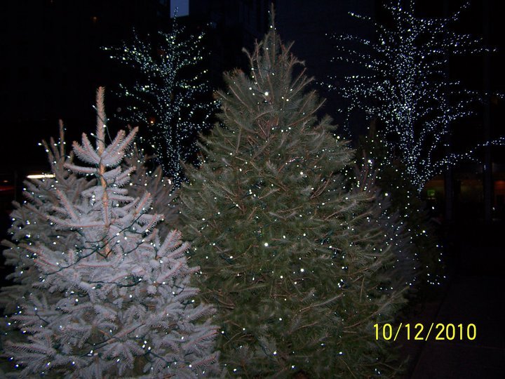 Nancy Hogaboom's album, NYC shopping trip 12-11-10
