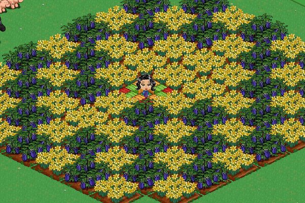 Loriann Wenzel's album, FarmVille Photos
