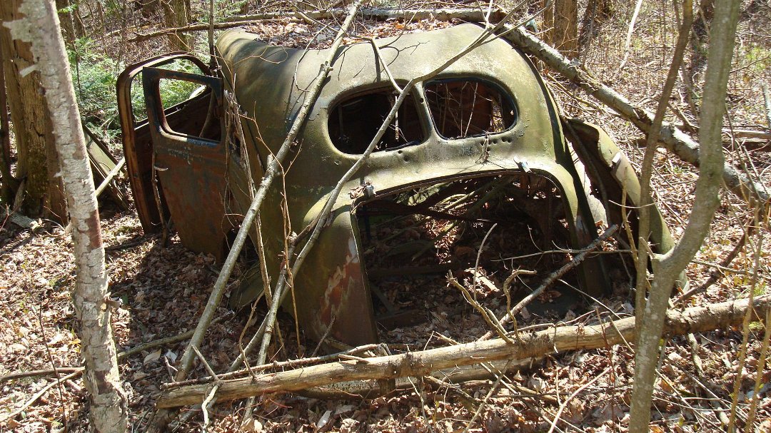 Chris Cunningham's album, 'Rustic' Scenes on a Recent Hike
