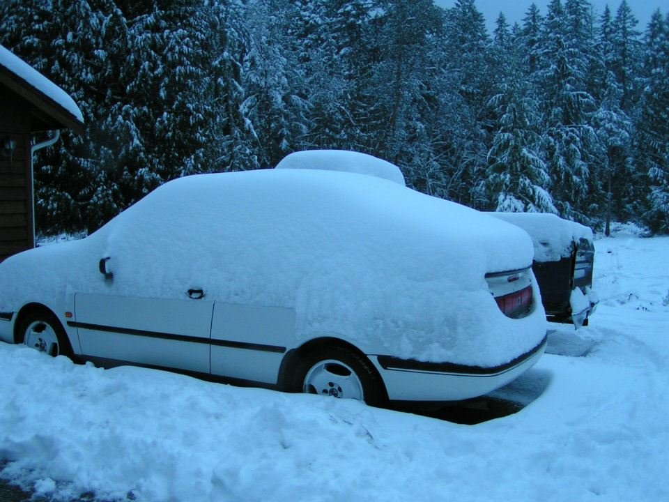 Sharon Worthington's album, Winter of 2012