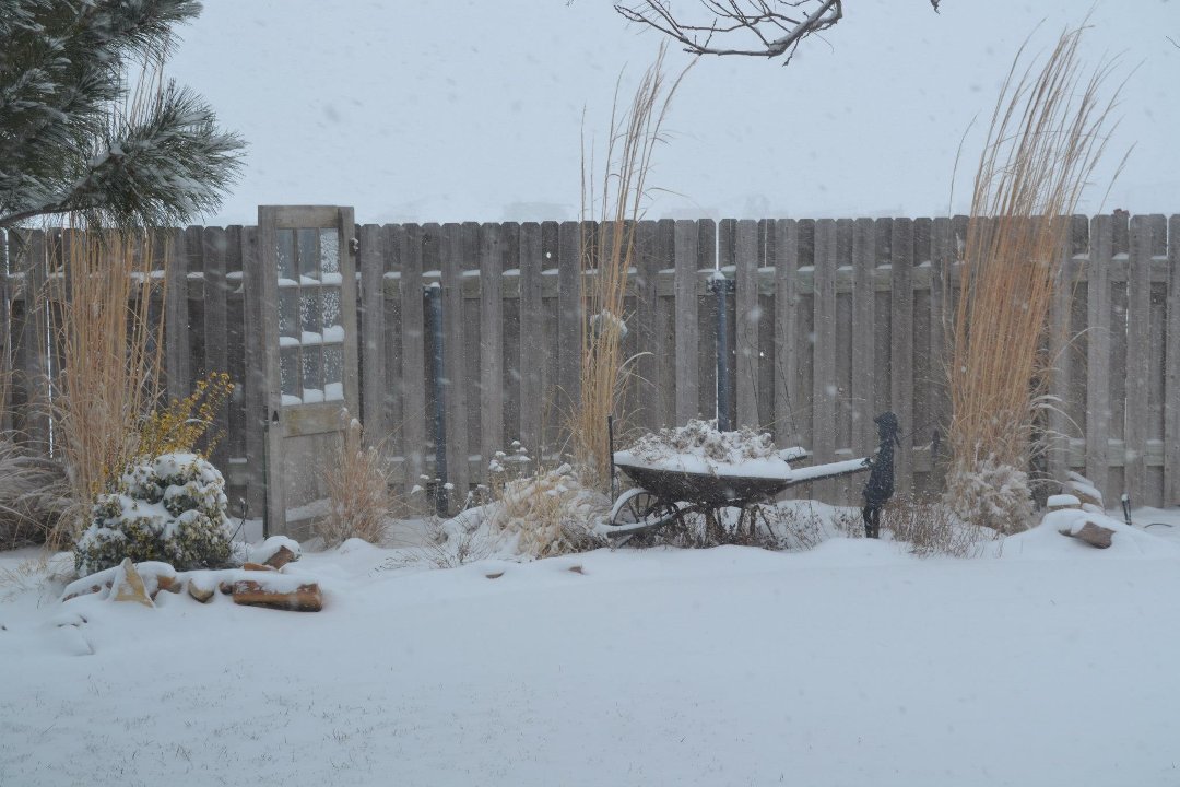 Chris Carroll's album, New Years Eve Snow 2012