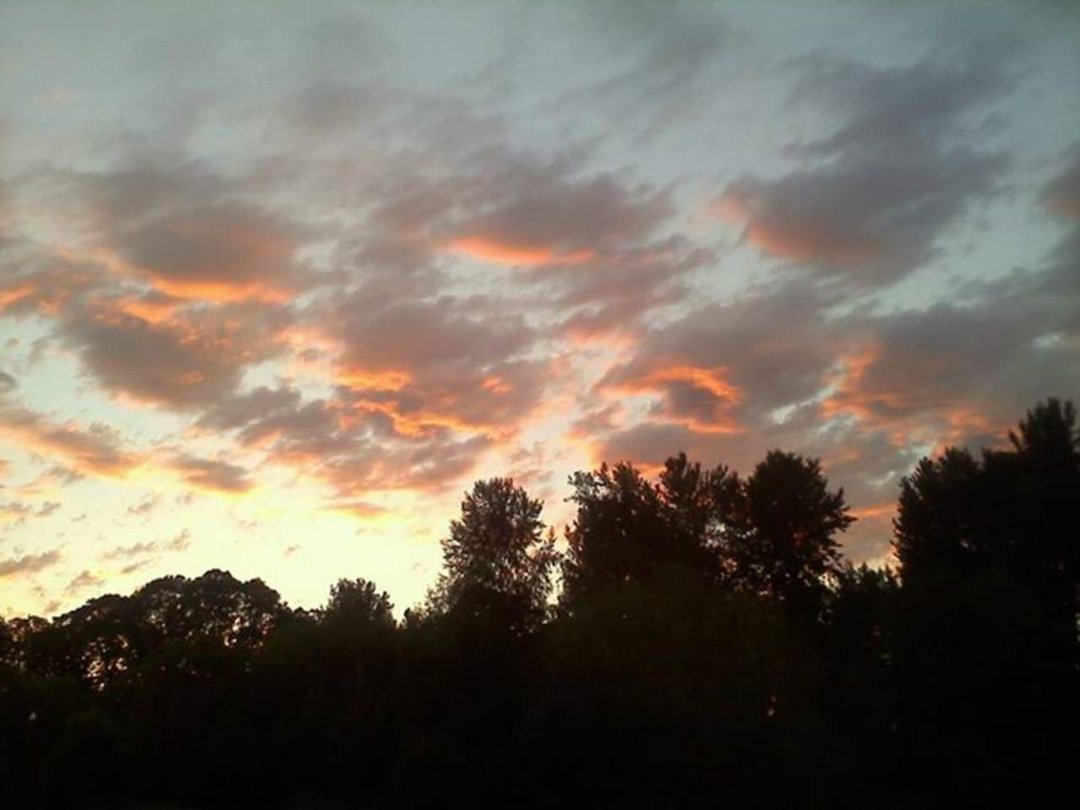 Chris Jensen's album, Mobile Uploads
