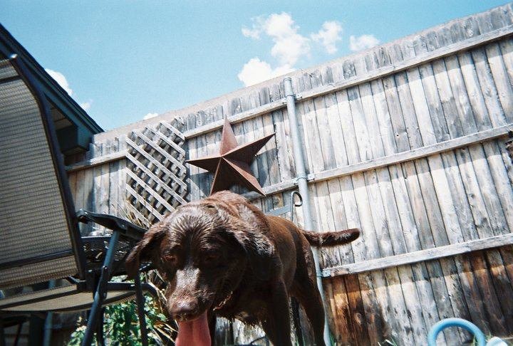 Rodger Darnall's album, Coco and Gavin