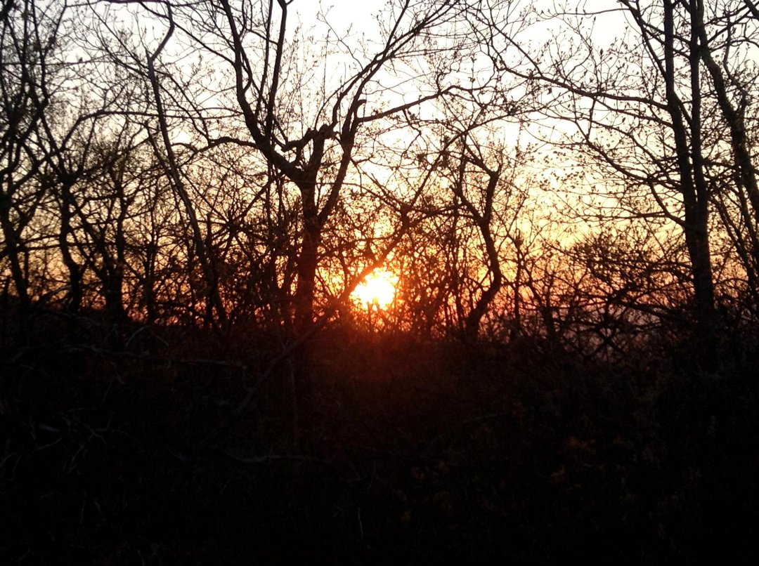 Chris Whipple's album, Views along the Trail in Hudson Valley
