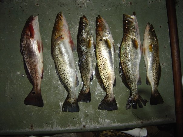 Robert Collins' album, fishing