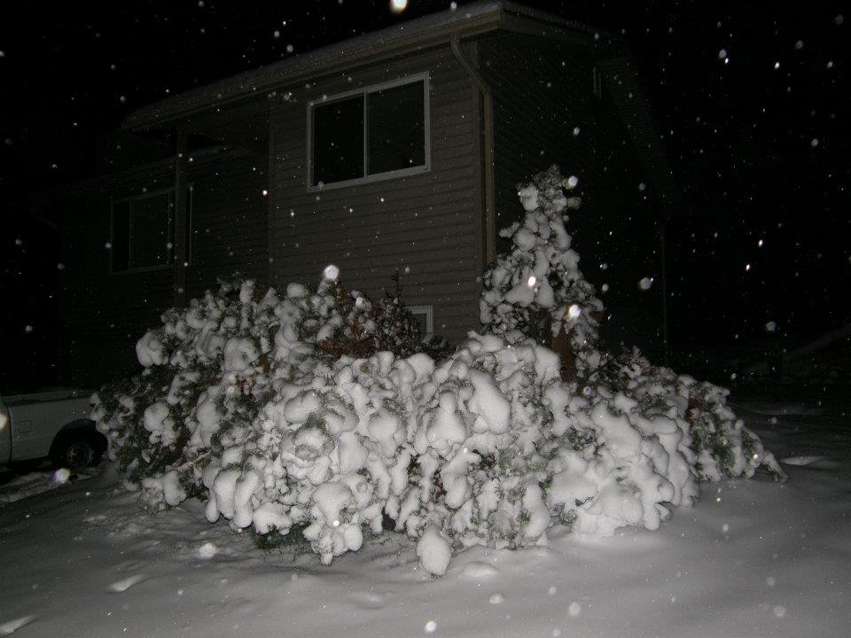 Douglas Wright's album, Winter snow storm, Jan. 18-22, 2012