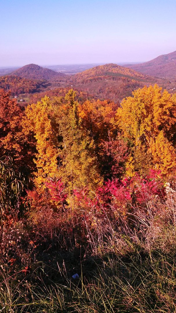 Kathy Wertz's album, Mobile Uploads