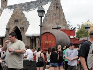 Alice Eisnor-Martens' album, harry potter adventure