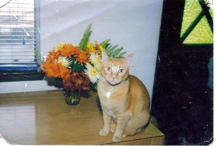 Robert Miller's album, My Photos