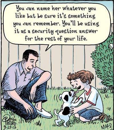 Ray Mitchell's album, Timeline Photos