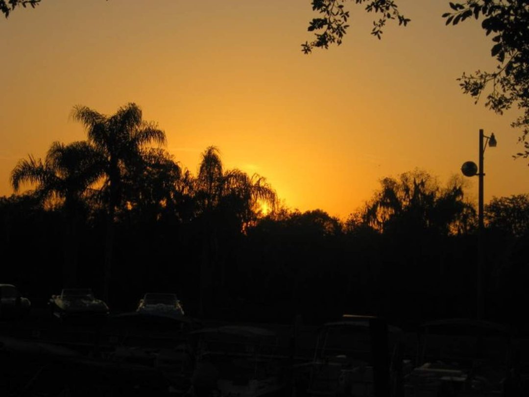 Sandra James' album, Cover Photos