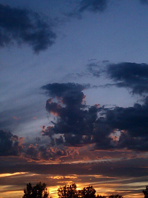 Ben Pacheco's album, Mobile Uploads