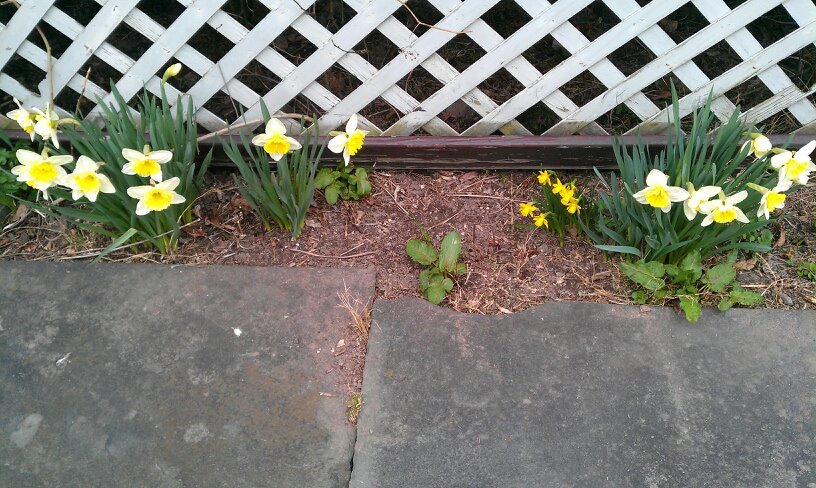 Bill Browne's album, Mobile Uploads
