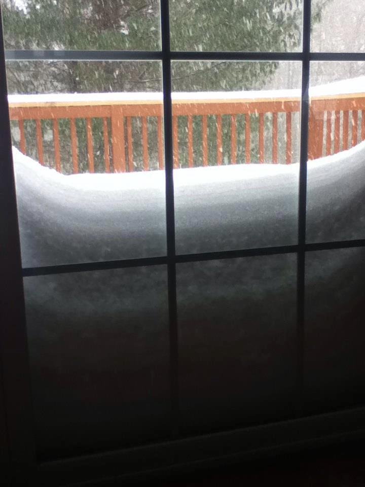 Jeanne Murphy's album, Timeline Photos