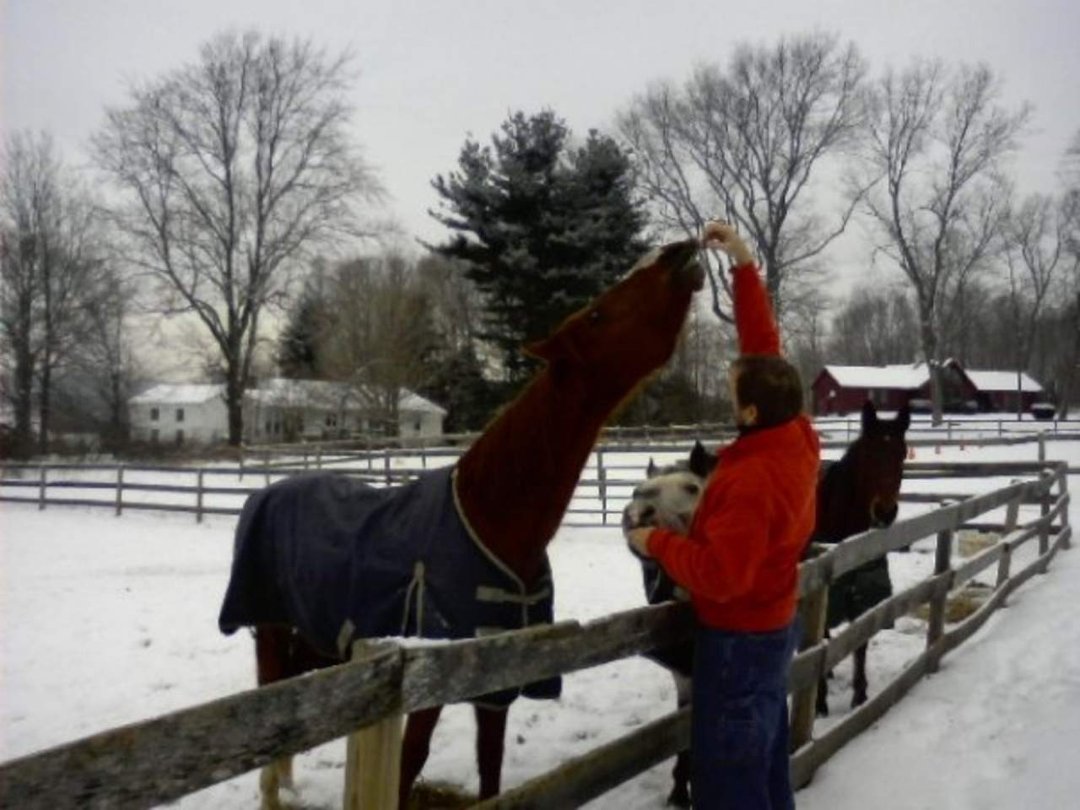 John O'donnell's album, winter at the barn 2