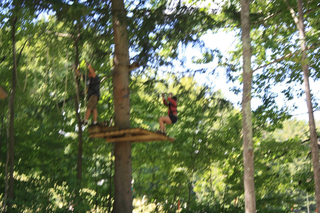 Teresa Haag's album, Aerial Adventure Park