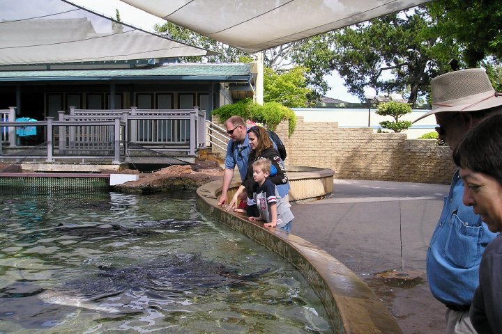 Jean Pizzola's album, Seaworld and Arizona