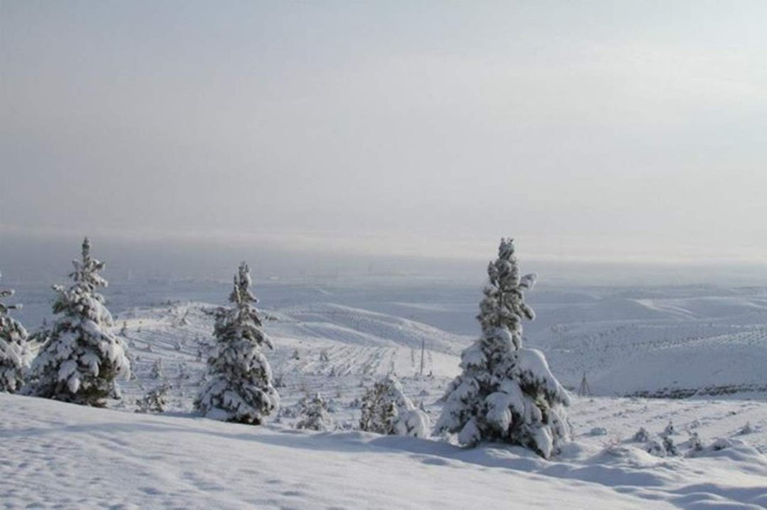 Bill Leaf's album, Snowy Kopet Dag - March 8, 2013