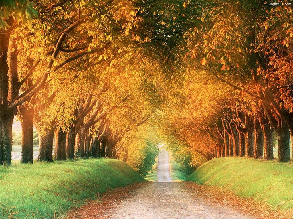 Sharon Roth's album, Cover Photos