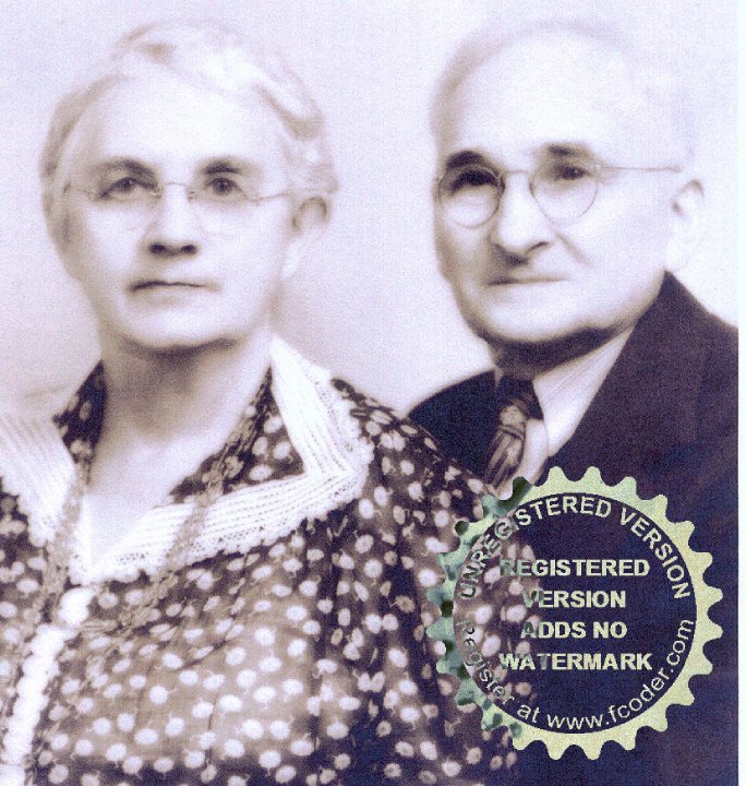 Freeman Stickney's album, Old Family