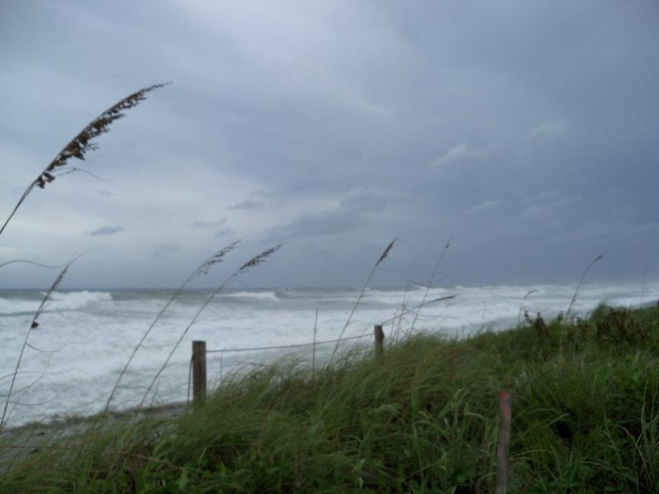 William Bell's album, August 28, 2011