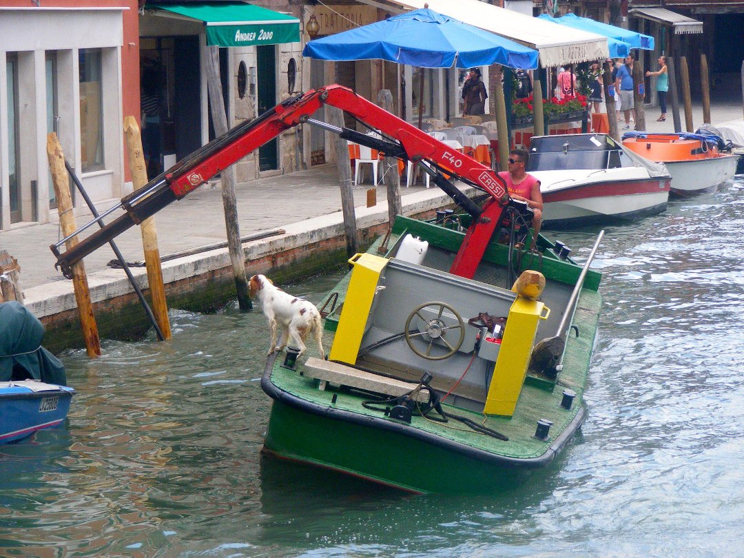 David Haynes' album, Venice