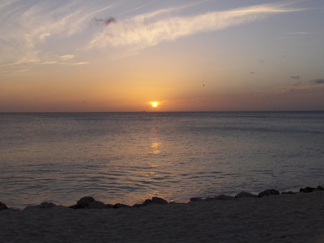 Donna Hackman's album, Cover Photos