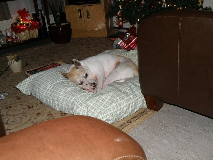 Matthew Tello's album, xmas 09