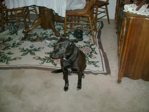 Beverly Lumm's album, Profile Pictures