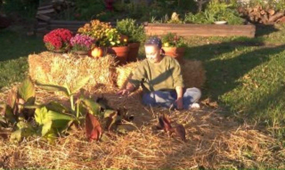 Lori Smith's album, Yay, Autumn Yard Display!