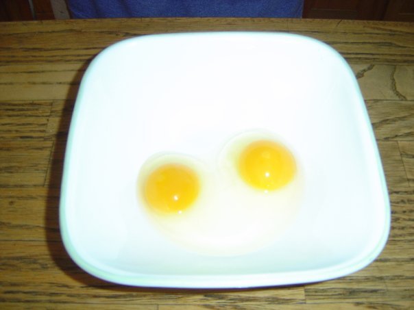 Jeff Varney's album, EGGS