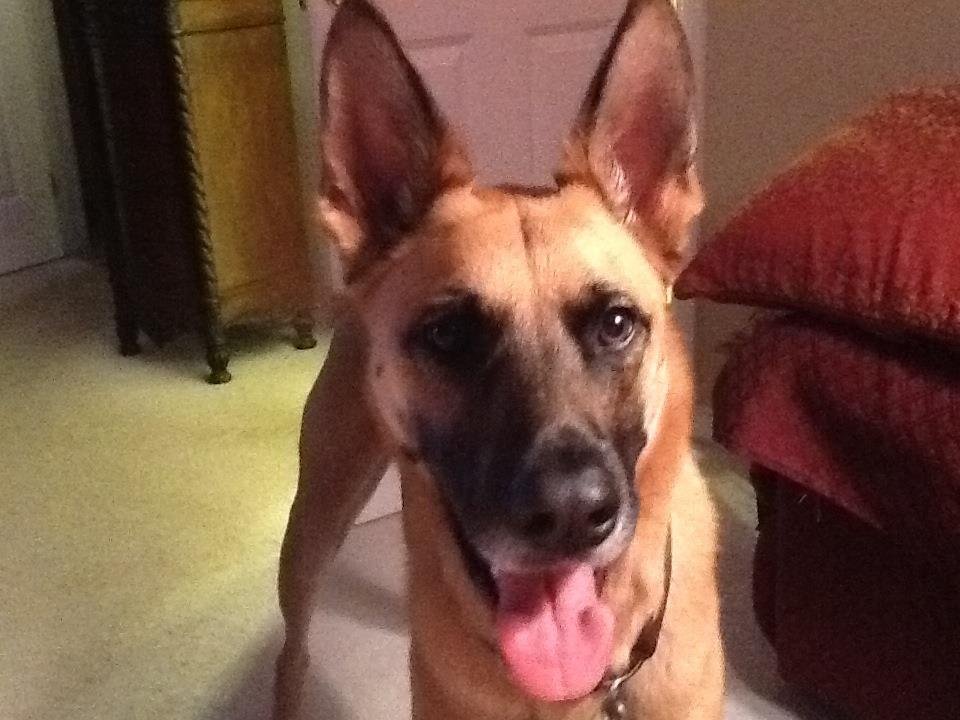 Patty Lowe's album, Mobile Uploads