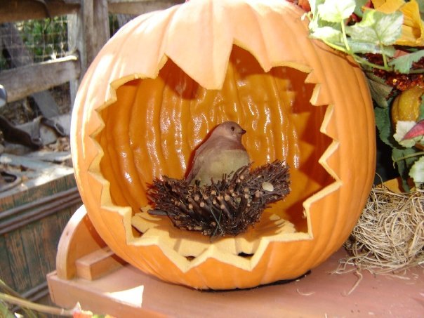 Elizabeth Harris' album, Halloween at Disneyland