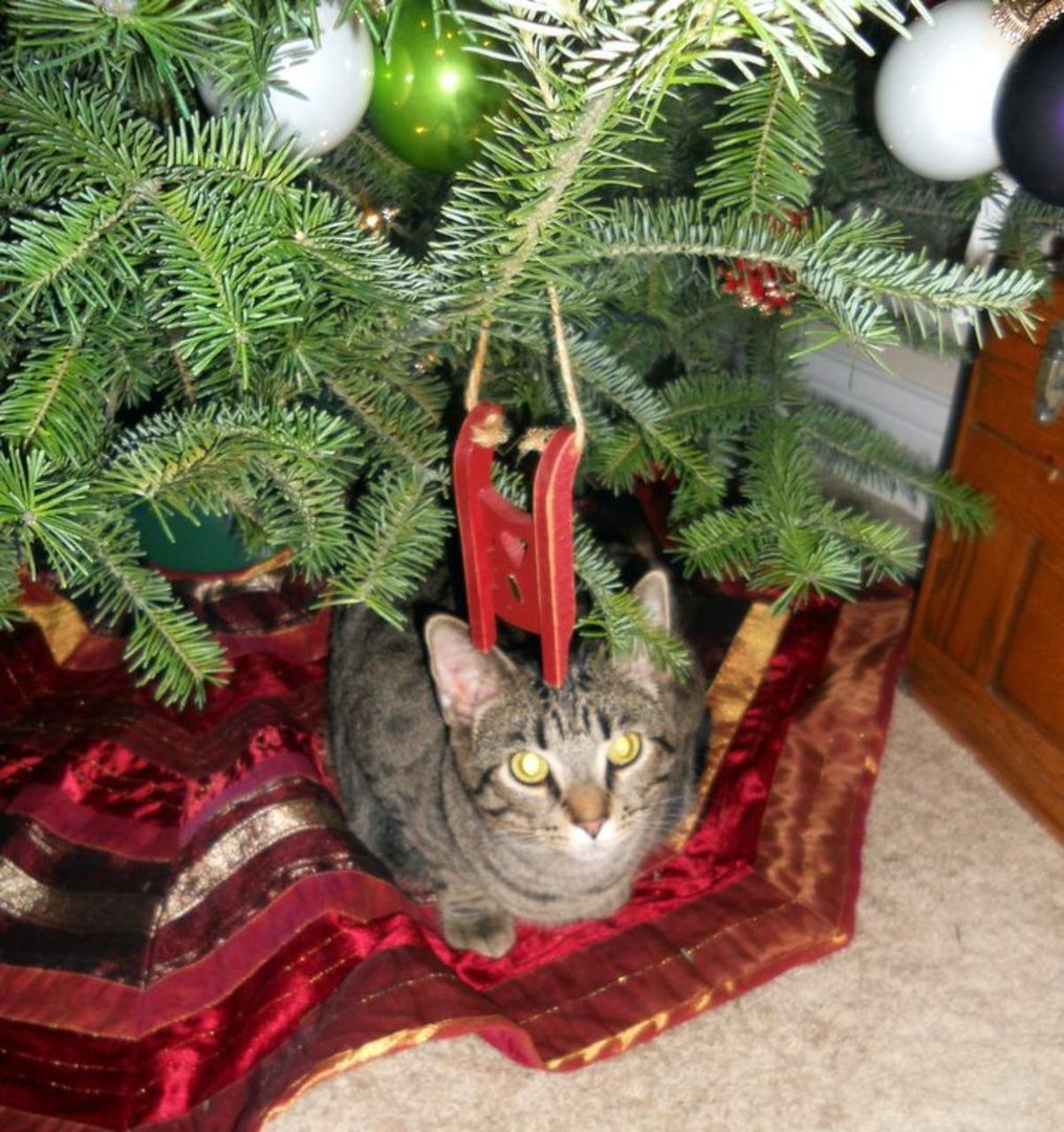 Cynthia Rawlins' album, Christmas 2010