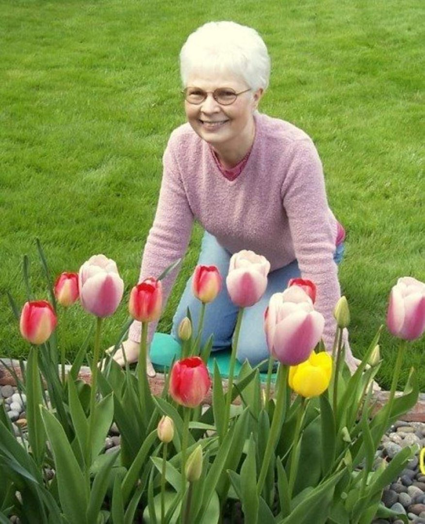 Diana Justice's album, Flower garden