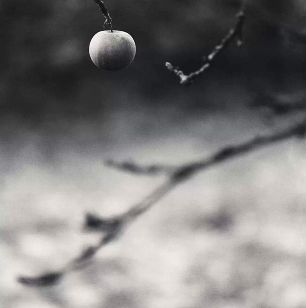 Gregory Freeman's album, Mobile Uploads